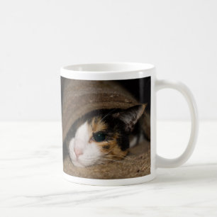 Calico Taco Tasse