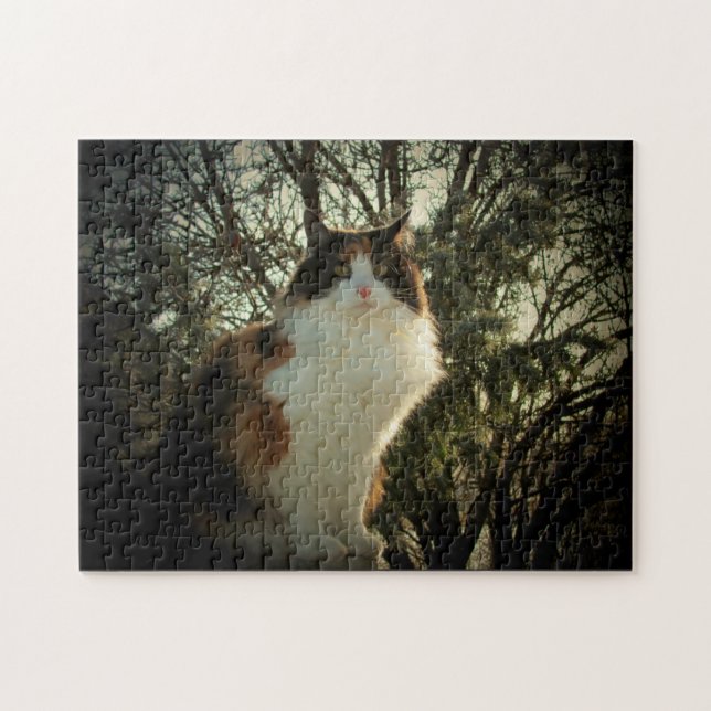 Calico und Pine oder Ihr Foto-Puzzle (Horizontal)
