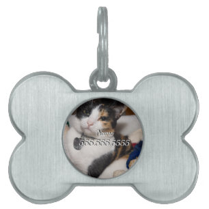 Calico und Snowmen Pet ID Tag Tiermarke