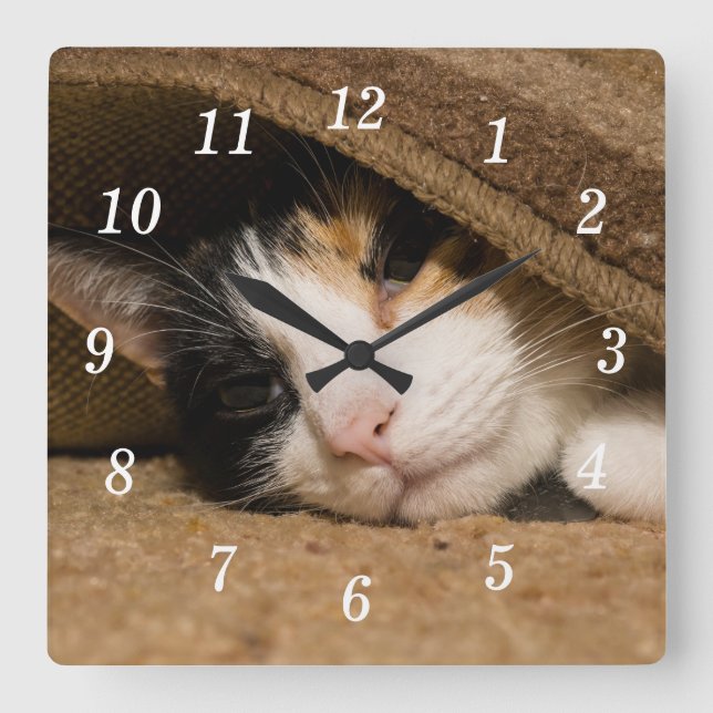 Calico unter der Rug-Wall-Uhr Quadratische Wanduhr (Vorderseite)