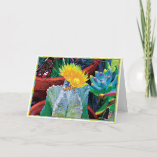 Caliente Cactus Card Karte
