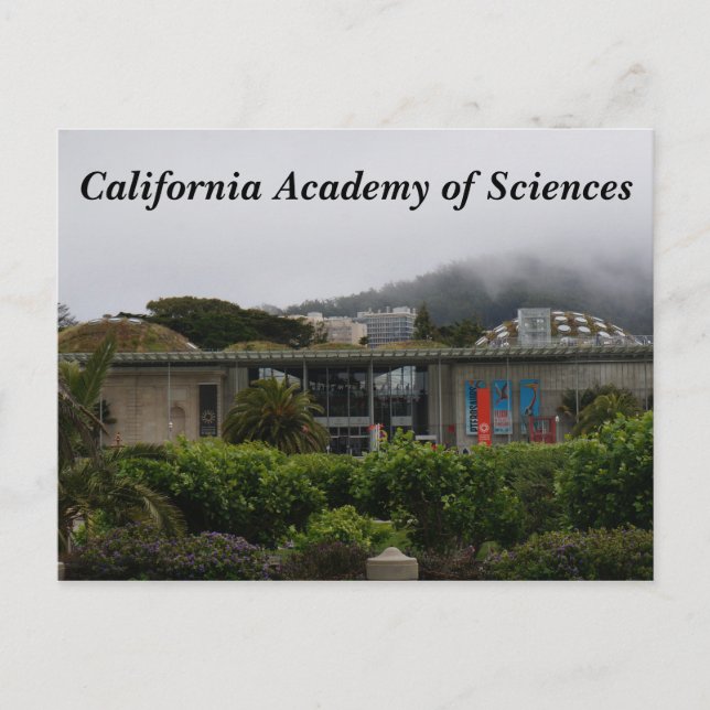 California Academy of Sciences #2 Postcard Postkarte (Vorderseite)