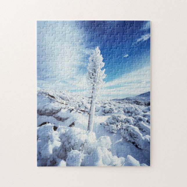 California, Anza Borrego Wüste Staat Park 2 (Vertikal)