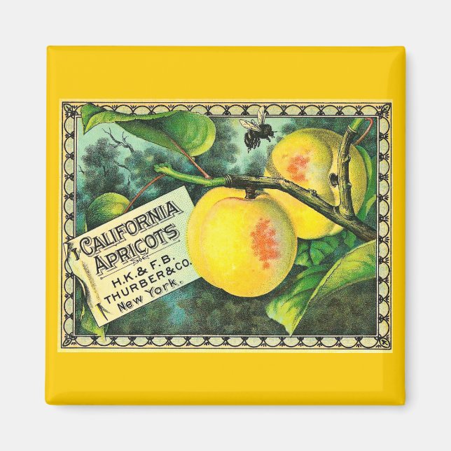 California Apricots - Vintages Kartonsiegel Magnet (Vorne)