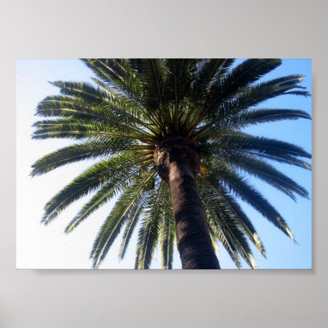 California Beach Palm Tree Custom Poster Art Print (Vorne)
