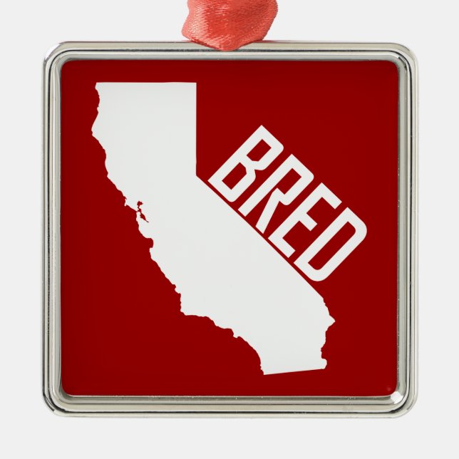California Bred Silbernes Ornament (Vorne)