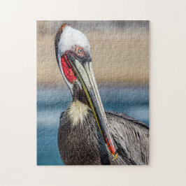 California Brown Pelican, Fine Art Foto,
