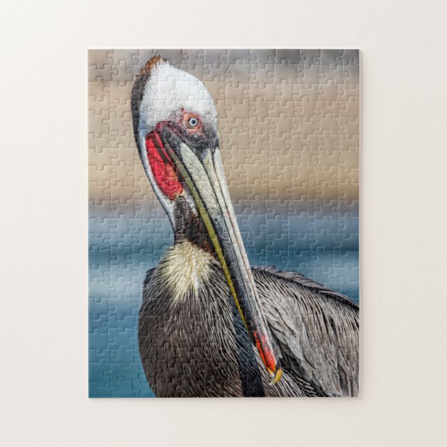 California Brown Pelican, Fine Art Foto, (Vertikal)