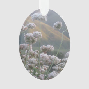 California Buckweizen Ornament