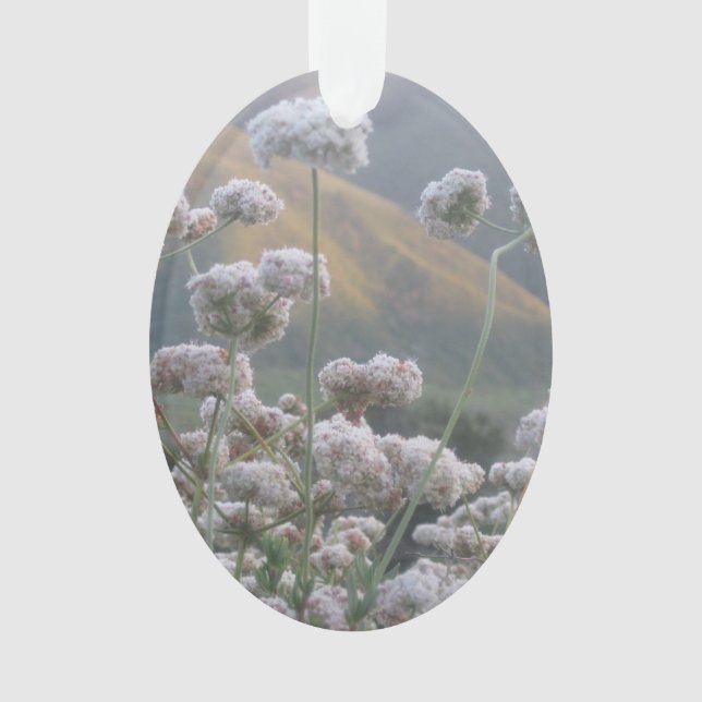 California Buckweizen Ornament (Vorderseite)