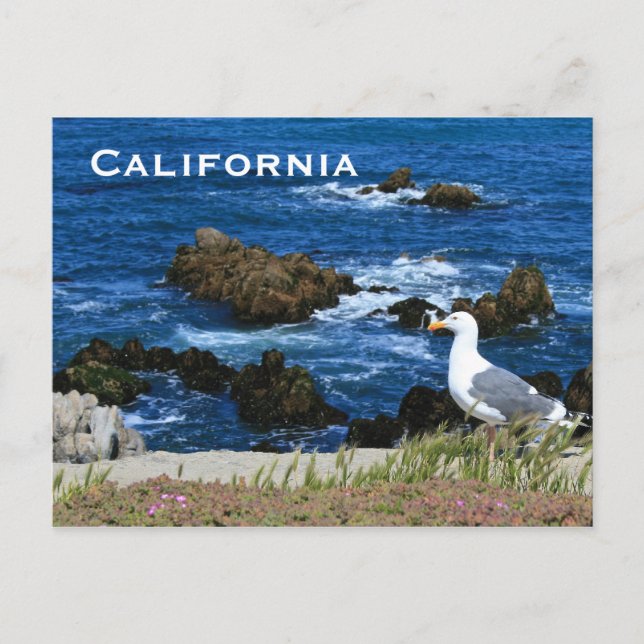 California Coast, Carte postale (Devant)