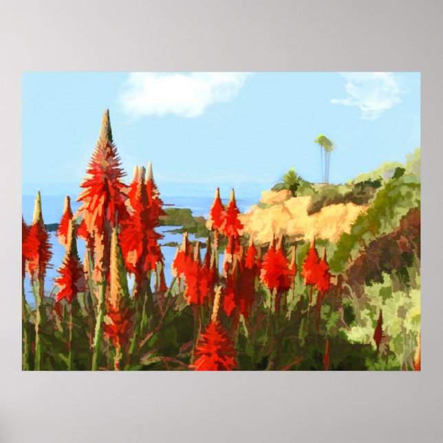 California Coastline & Red Hot Poker Plants Poster (Vorne)