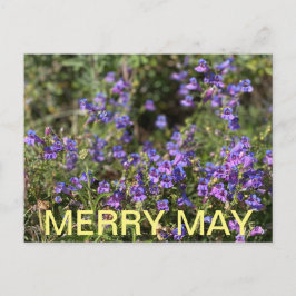 California Colors: Merry May Postkarte