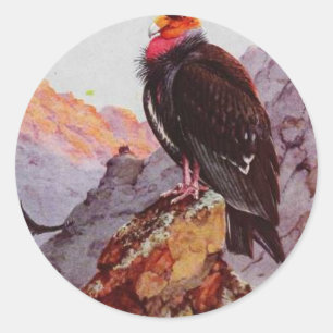‚California condor‘ Runder Aufkleber