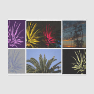 California Dreaming Palm Tree Decoupage Foto Seidenpapier