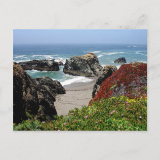 California Dreaming Postkarte