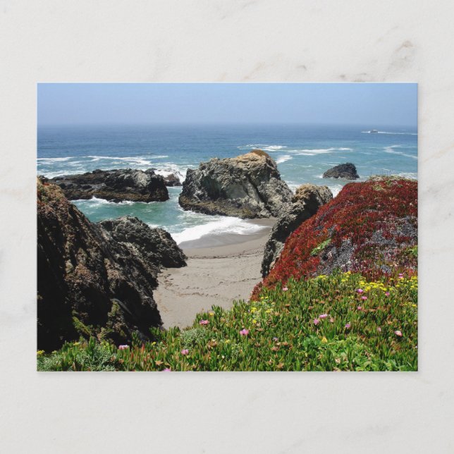 California Dreaming Postkarte (Vorderseite)