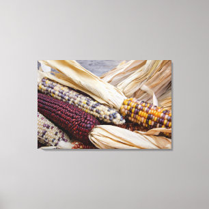 California. Fall Harvest Colorful Indian Mais Leinwanddruck