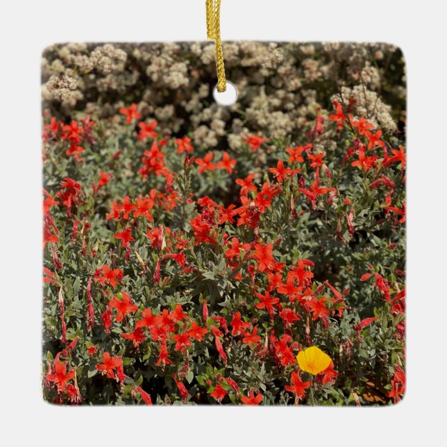 California Fuchsia Keramikornament (Vorderseite)