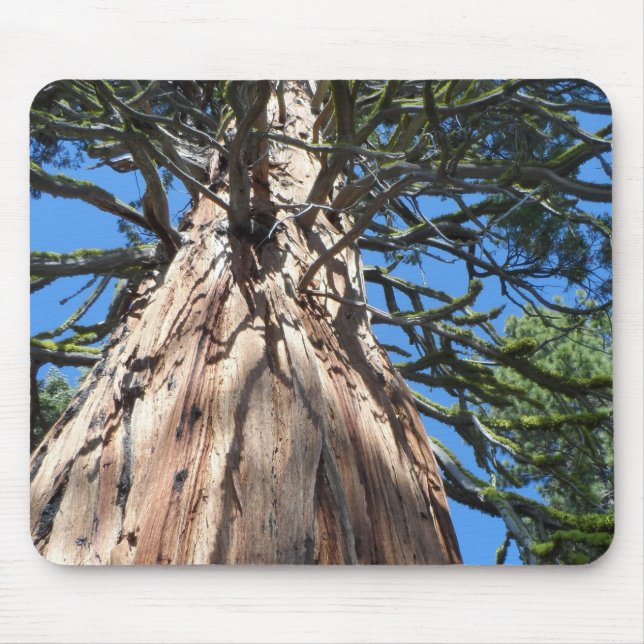 California Giant Mousepad (Vorne)
