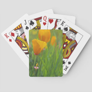 California golden poppies in a green field spielkarten
