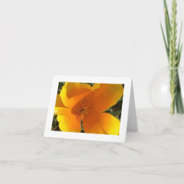 California Golden Poppy - 3 Dankeskarte