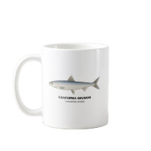 California Grunion - Meerestiere in Kalifornien