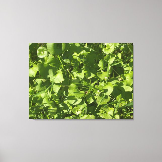 California Grüntöne Leinwanddruck (Vorderseite)