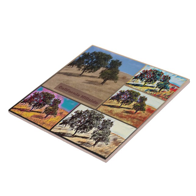 California Hillside Abstrakt Foto Collage 9979 Fliese (Seite)