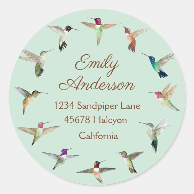 California Hummingbirds Mint Classic Round Sticker (Vorderseite)