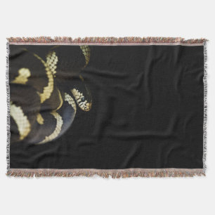 California King Snake Decke