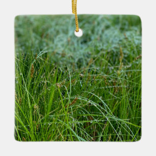 California Meadow Sedge Keramik Ornament