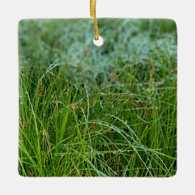 California Meadow Sedge Keramik Ornament (Vorderseite)