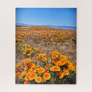 California Mohnfelder - Blume - 16x20 - 520 pc