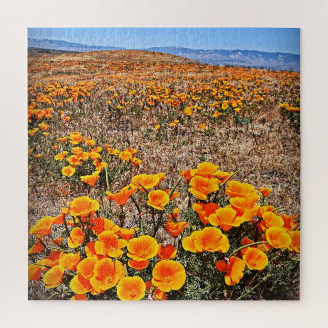 California Mohnfelder - Blume - 20x20 - 676 pc (Vertikal)
