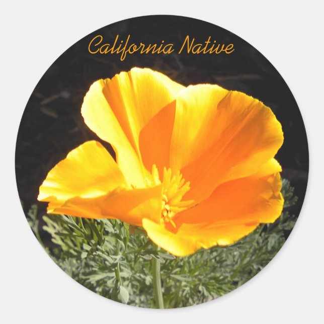 California Native Runder Aufkleber (Vorderseite)