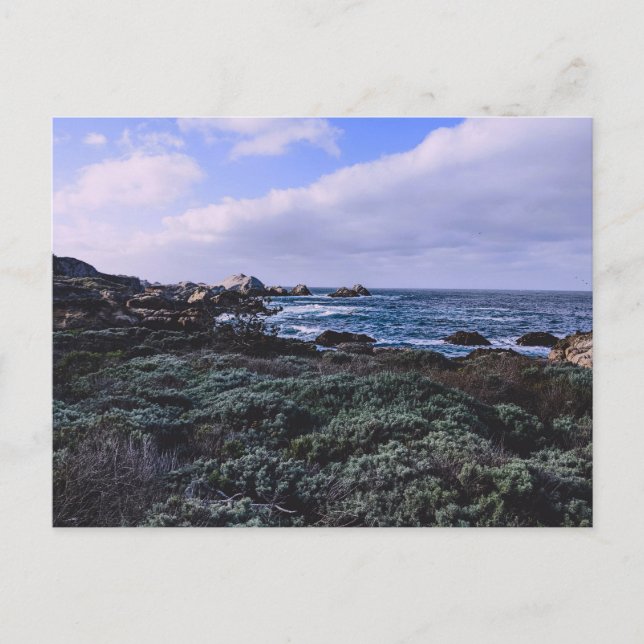 California Pacific Coast Point Lobos Monterey Postkarte (Vorderseite)