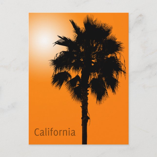 California Palm Postkarte (Vorderseite)