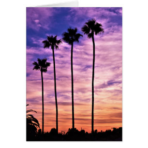 California Palm Tree Sunset