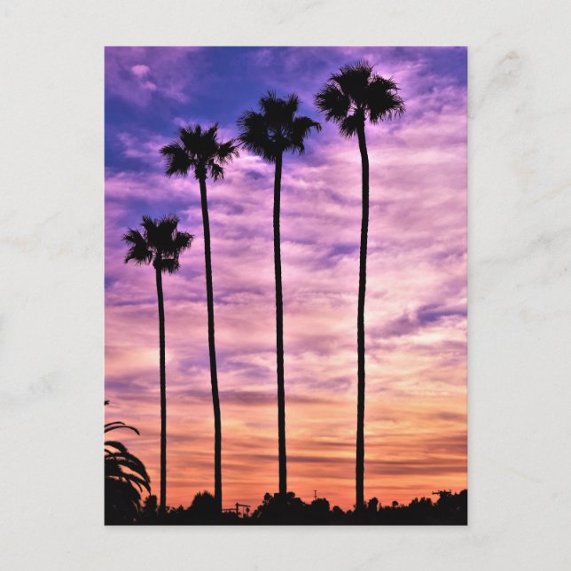 California Palm Tree Sunset Postkarte (Vorderseite)
