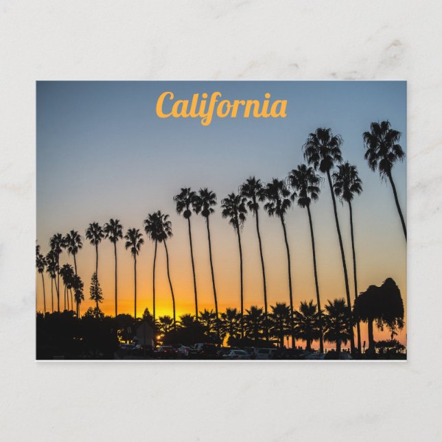 California Palm Trees am Strand bei Sunset Postkarte (Vorderseite)