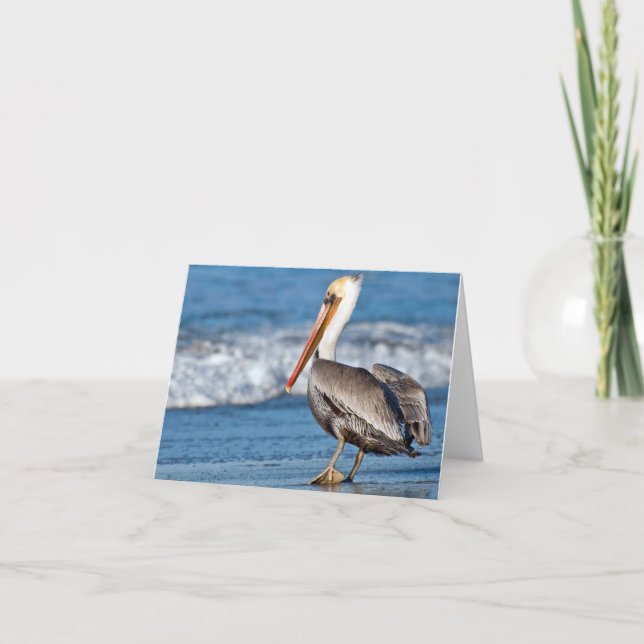 California Pelican am Strand Karte (Vorderseite)