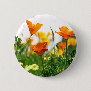 California Poppies Button