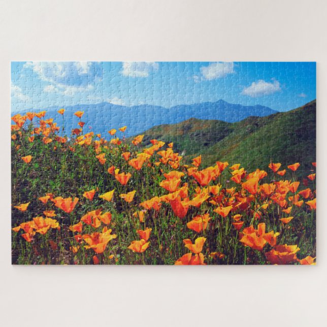 California Poppies Covering a Hillside (Horizontal)