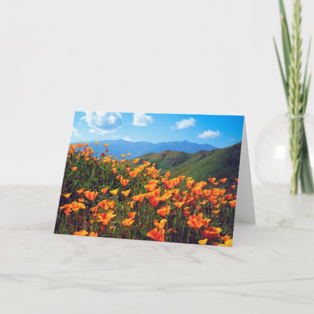 California Poppies Covering a Hillside Karte (Vorderseite)