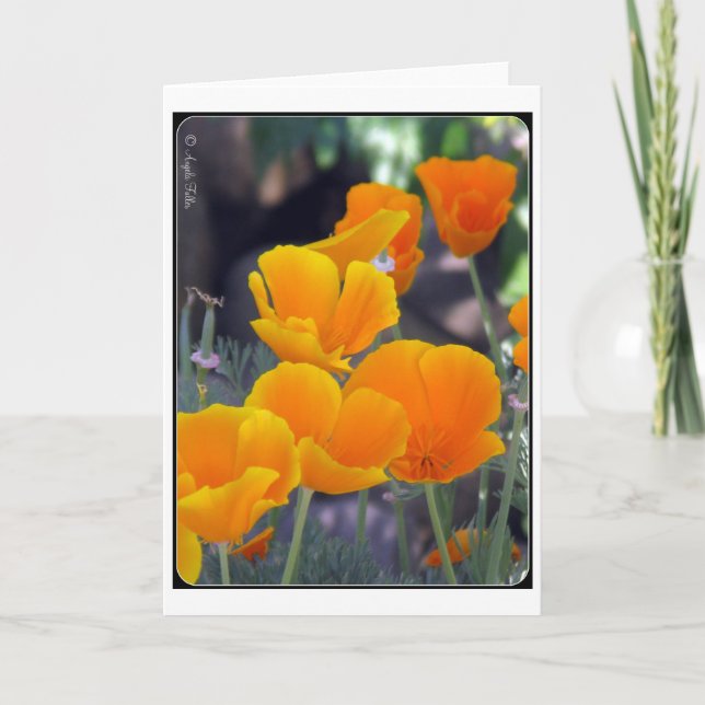 California Poppies Grußkarte Karte (Vorderseite)