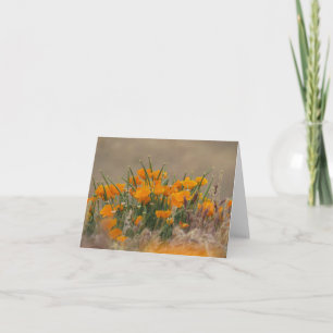 California Poppies Karte