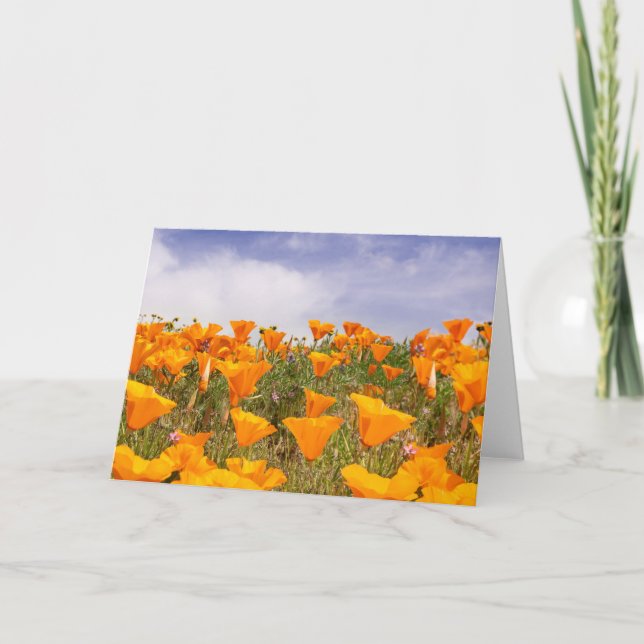 California Poppies Landschaft Karte (Vorderseite)