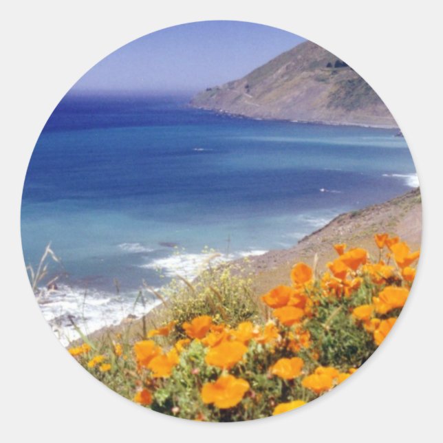 California Poppies Runder Aufkleber (Vorderseite)