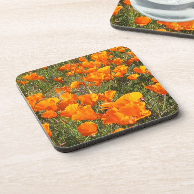 California Poppies Untersetzer Set (Linke Seite)